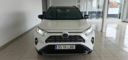 
										TOYOTA RAV 4 2.5 FEEL 178CV HYBRID completo									