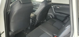 
										TOYOTA RAV 4 2.5 FEEL 178CV HYBRID completo									