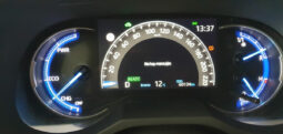 
										TOYOTA RAV 4 2.5 FEEL 178CV HYBRID completo									